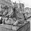 Beeld van een leeuw, links naast de ingang van het hoofdgebouw van Artis - Amsterdam - 20280996 - RCE -  Dierentuin Artis: Beeld van een leeuw, links naast de ingang van het hoofdgebouw van Artis 