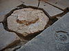 WLM - Minke Wagenaar - 130 3051 - 130_3051 
