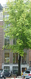 Amsterdam - Herengracht 590.JPG - Amsterdam, Herengracht 
