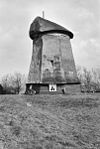 Achtkante rietgedekte molen zonder wieken in de polder Egmondermeer - Alkmaar - 20006884 - RCE -  Boschmolen: Achtkante rietgedekte molen zonder wieken in de polder Egmondermeer 
