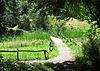 20160824ThijsseHof 12b -  Small path in Thijsse's Hof in Bloemendaal (NL) with little wooden fence  Smal wandelpad in de heemtuin Thijsse's Hof, Bloemendaal. De paadjes zijn afgezet met kleine houten hekjes
