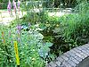 20160824ThijsseHof 08b -  Small pool in Thijsse's Hof, Bloemendaal, (NL). When flowering the plants are labelled  Kleine vijver in de heemtuin Thijsse's Hof, Bloemendaal. Als de bloemen bloeien krijgen ze een naambordje.