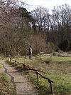 Thijsse's Hof - Bloemendaal (8523695017) - Thijsse's Hof - Bloemendaal {februari 2013}