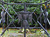 RM513217 Bussum Amersfoortsestraatweg Begraafplaats (detail).JPG -  Bussum Amersfoortsestraatweg Begraafplaats