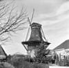 Overzicht van de molen tijdens restauratie, molen stond tot 1897 in Zaandam-Oost onder de naam De Bootsman - Oosterblokker - 20036354 - RCE -  Krijgsman/ Pelmolen De Bootsman: Overzicht van de molen tijdens restauratie, molen stond tot 1897 in Zaandam-Oost onder de naam De Bootsman (opmerking: Van deze molen is ook een Sipman-tekening) 