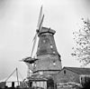 Overzicht van de molen tijdens restauratie, molen stond tot 1897 in Zaandam-Oost onder de naam De Bootsman - Oosterblokker - 20036353 - RCE -  Krijgsman/ Pelmolen De Bootsman: Overzicht van de molen tijdens restauratie, molen stond tot 1897 in Zaandam-Oost onder de naam De Bootsman (opmerking: Van deze molen is ook een Sipman-tekening) 