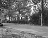 Overzichten - Edam - 20066481 - RCE -  overzichten 