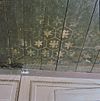 INTERIEUR, REGENTENKAMER, VLOER, DETAIL - Edam - 20283954 - RCE -  V.M. WEESHUIS: INTERIEUR, REGENTENKAMER, VLOER, DETAIL 