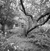 Exterieur overzicht tuin achterzijde - 20000507 - RCE -  woonhuis: Exterieur overzicht tuin achterzijde 