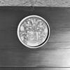 Raadzaal, detail plafond schildering - Enkhuizen - 20070288 - RCE -  Raadhuis: raadzaal, detail plafond schildering 