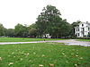 RM511392 Haarlem - Frederikspark - RM511392 Haarlem - Frederikspark.jpg 