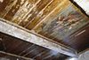 INTERIEUR, OVERZICHT BESCHILDERD PLAFOND - Haarlem - 20262641 - RCE -  INTERIEUR, OVERZICHT BESCHILDERD PLAFOND 