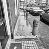 Stoep met stoeppalen - Haarlem - 20098047 - RCE -  stoep met stoeppalen 