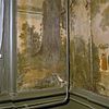 INTERIEUR, REGENTENKAMER, WANDBESPANNING, DETAIL - Haarlem - 20282921 - RCE -  Het Dolhuys: INTERIEUR, REGENTENKAMER, WANDBESPANNING, DETAIL 