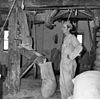 Interieur, molenaar aan de meelbak - Wervershoof - 20253644 - RCE -  De Hoop: Interieur, molenaar aan de meelbak (opmerking: Van deze molen is ook een Sipman-tekening) 