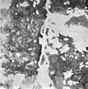 Detail schildering Sint Christoffel noord-zijde torenwand in kerk - Naarden - 20162299 - RCE -  Nederlands Hervormde Grote Kerk (Sint Vituskerk): detail schildering Sint Christoffel noord-zijde torenwand in kerk 