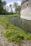 Fortmuur van het torenfort Uitermeer met gracht, onderdeel van de Nieuwe Hollandse Waterlinie - Weesp - 20429709 - RCE -  Torenfort Uitermeer: Fortmuur van het torenfort Uitermeer met gracht, onderdeel van de Nieuwe Hollandse Waterlinie (opmerking: Gefotografeerd voor publicatie over Cultuurlandschap)