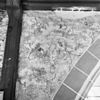 Schildering boven scheiboog in noordelijk zijschip 3 - Weesp - 20252250 - RCE -  Nederlands Hervormde Kerk: schildering boven scheiboog in noordelijk zijschip 3 