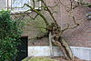 Jagtlust-oudedruif-appelenkelder-7024.JPG