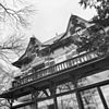 Bovengedeelte rechterzijgevel - Borne - 20038556 - RCE -  Villa Meiling: bovengedeelte rechterzijgevel 