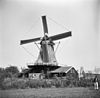 Houtzaagmolen in feesttooi bij ingebruikstelling van voren gefotografeerd - Deventer - 20056767 - RCE -  Bolwerksmolen: Houtzaagmolen in feesttooi bij ingebruikstelling van voren gefotografeerd 