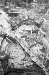 Detail achtergevel - Deventer - 20055553 - RCE -  detail achtergevel 