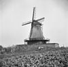 Houtzaagmolen schuin van opzij gefotografeerd - Deventer - 20056758 - RCE -  Bolwerksmolen: Houtzaagmolen schuin van opzij gefotografeerd 
