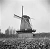 Houtzaagmolen van opzij gefotografeerd - Deventer - 20056759 - RCE -  Bolwerksmolen: Houtzaagmolen van opzij gefotografeerd 