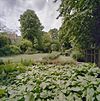 Overzicht tuin - Deventer - 20335644 - RCE -  Tuin: Overzicht tuin 