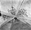 Gewelfschildering van het orgel - Deventer - 20054591 - RCE -  LebuÃ¯nuskerk: gewelfschildering van het orgel 