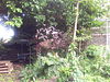 Pand, waarin wellicht een deel van de laat-middeleeuwse stadsmuur bewaard is gebleven 2012-09-08 21-25-06 -  Pand, waarin wellicht een deel van de laat-middeleeuwse stadsmuur bewaard is gebleven 
