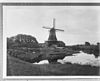 Houtzaagmolen te Deventer van voren gefotografeerd - Deventer - 20056763 - RCE -  Bolwerksmolen: Houtzaagmolen te Deventer van voren gefotografeerd 