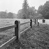 Exterieur OVERZICHT HEKWERK BENTHEIMER ZANDSTEEN - Ambt Delden - 20273968 - RCE -  KASTEEL TWICKEL: Exterieur OVERZICHT HEKWERK BENTHEIMER ZANDSTEEN 