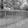 Exterieur GIETIJZEREN HEK ROND KASTEEL - Ambt Delden - 20273969 - RCE -  KASTEEL TWICKEL: Exterieur GIETIJZEREN HEK ROND KASTEEL 