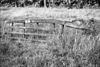 Hek bij theehuis naast watergedreven molen met onderslagrad - Diepenheim - 20057087 - RCE -  Den Haller/ Theehuis De Haller: Hek bij theehuis naast watergedreven molen met onderslagrad 