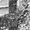 Exterieur detail STEMPEL van HEK AAN DE LOCHEMSEWEG - Diepenheim - 20292060 - RCE -  Huis Warmelo: Exterieur detail STEMPEL van HEK AAN DE LOCHEMSEWEG 