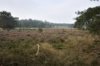 Onder het Elsenerveld bevindt zich een nederzetting uit het laat-Neolithicum en de vroege 