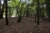 Ter hoogte van de bosrand ligt de nederzetting uit het laat-Neolithicum en vroege 