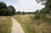 Pad, richting de bosrand, ligt de nederzetting uit het laat-Neolithicum en vroege 