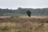 Ter hoogte van de bosrand ligt de nederzetting uit het laat-Neolithicum en vroege 