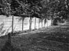 Betonnen muur van de moestuin (oost- en zuidzijde) - Markelo - 20150677 - RCE -  Huis Weldam: Betonnen muur van de moestuin (oost- en zuidzijde) (opmerking: Neg. in 2003 verloren door contact met Glucol) 