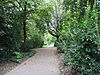 Kampen 9-2011 (21).JPG