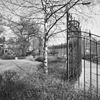 Overzicht tuinhek - Steenwijk - 20205430 - RCE -  Raadhuis: overzicht tuinhek 