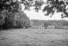 Aanzicht - Tubbergen - 20209997 - RCE -  aanzicht 