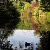 Vijver Park Engelse Werk