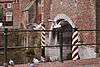 Amersfoort7585-rm7928