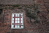 Koppelpoort03 -  Detail van de muurbegroeiing, Amersfoort kreeg in 1996 de Europa Nostra Award voor de zorgvuldige manier waarmee hiermee werd omgegaan tijdens de restauratie. 