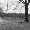 Overzicht - Amersfoort - 20009779 - RCE -  Galgenberg: overzicht 