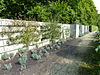 Stenenmuur.JPG -  Op het landgoed Groeneveld te Baarn in de moestuin achter de ossenstal staat deze oude muur. 