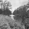 Park achter het huis - Baarn - 20027150 - RCE -  Groeneveld: Park achter het huis 